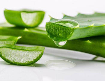 芦荟护肤品哪个牌子好，好不好用