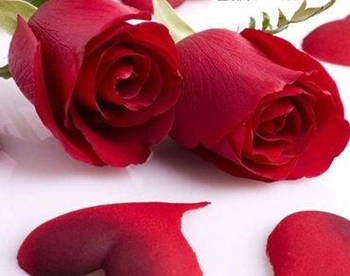 纯天然自制护肤品配方大全Top5  纯天然护肤品 美白祛黄 第4张