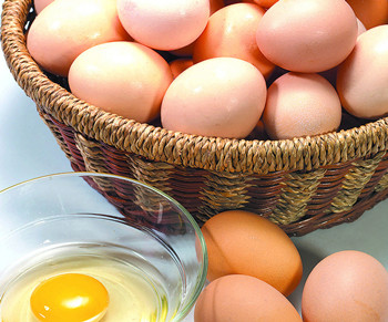 鸡蛋美容护肤方法有哪些