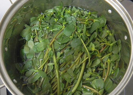 激素脸传统中医治疗靠谱吗  激素脸 中医 美白祛黄 第5张