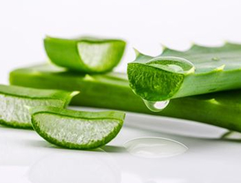 脸部过敏期间怎么补水，五招教你深补水  脸部 补水 美白祛黄 第2张