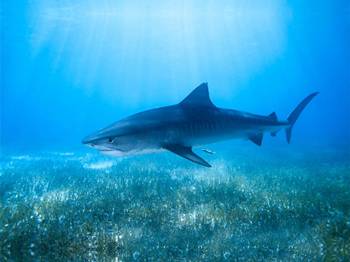 哪些成分修复皮肤屏障的护肤品  皮肤屏障 美白祛黄 第5张