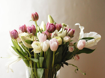 春天皮肤粗糙过敏修复小偏方  皮肤过敏 美白祛黄 第2张