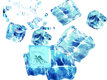 脸上过敏有块状瘙痒怎么缓解  过敏 怎么办 美白祛黄 第3张