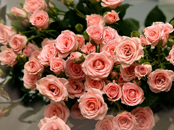 脸上过敏怎么回事  脸上过敏 美白祛黄 第2张