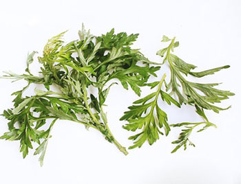 脸上过敏治疗小妙招  过敏 妙招 美白祛黄 第1张