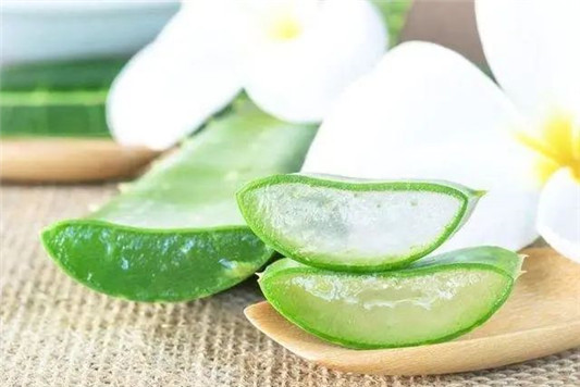 夏日修复肌肤就用芦荟霜，修护肌肤补水保湿镇定修复  芦荟霜 第2张