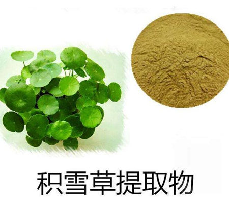 角质层薄和补水有什么关系，警惕过度水合  角质层薄 补水 过度水合 美白祛黄 第4张