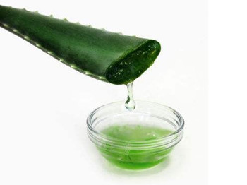 角质层薄用芦荟胶行吗  角质层薄 芦荟胶 美白祛黄 第3张