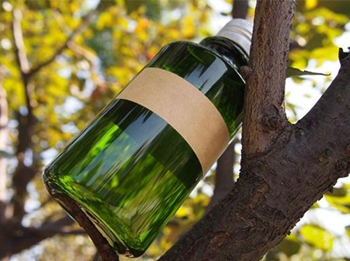 纯露可以修复角质层吗  修复角质层 美白祛黄 第3张