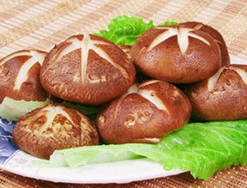 角质层破裂什么症状，怎么办  修复角质层的方法 美白祛黄 第4张