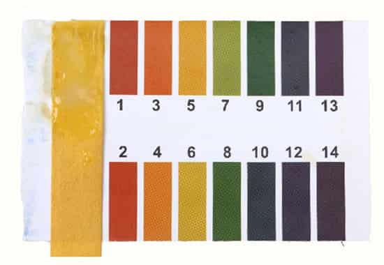 兰芝夜间修护睡眠面膜，第四代睡眠面膜评测结果  兰芝 睡眠面膜 评测 兰芝睡眠面膜 第4张