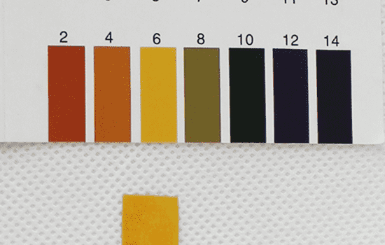 兰芝臻白修护柔肤精华露怎么样，宋慧乔的美白秘密武器  兰芝 精华液 第6张