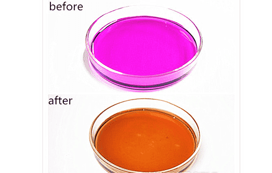 兰芝臻白修护柔肤精华露怎么样，宋慧乔的美白秘密武器  兰芝 精华液 第9张