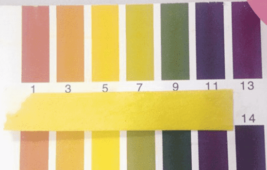 兰芝新水酷特润霜怎么样，让皮肤瞬间喝饱水的大水库  兰芝 面霜 兰芝水库系列 第4张