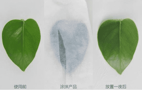 兰芝致美紧颜修护精华液怎么样，一款清爽的初期抗衰老精华液  兰芝 精华液 第5张