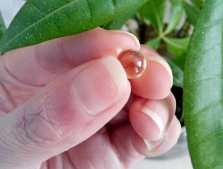 红血丝皮肤会不会长斑，有斑时该如何护理  长斑 护理 美白祛黄 第3张