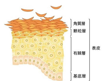 五大去红血丝误区，避开误区好护肤  误区 红血丝 美白祛黄 第3张