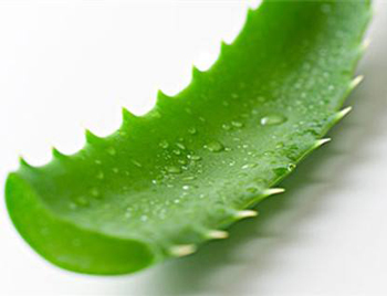 红血丝痘印怎么修复怎么护肤  红血丝 痘印 美白祛黄 第2张