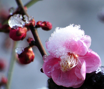 去红血丝的小窍门，消除红血丝小方法  小窍门 小妙招 美白祛黄 第3张