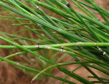 敏感肌肤快看，清红血丝实用方法  方法 美白祛黄 第3张