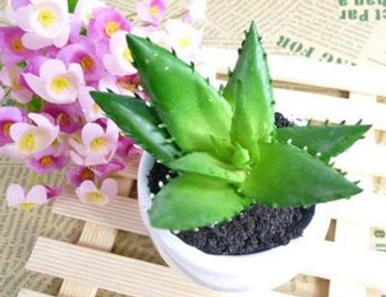 敏感肌去痘印最有效的方法10种  去痘印 美白祛黄 第9张