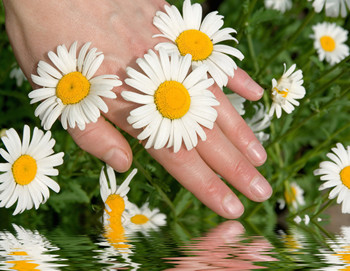 好物推荐：洋甘菊敏感肌肤护肤品