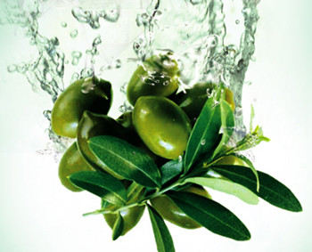 橄榄油敏感肌肤能用吗