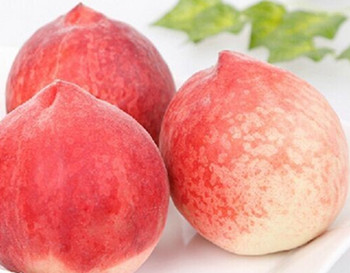 敏感肌肤自制面膜大全，赶快收藏吧  面膜 美白祛黄 第2张