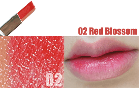 兰芝双色立体唇膏试色，新款旧款兰芝双色口红试色合集  试色 口红 兰芝 第2张