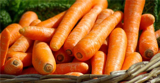 吃什么补水,从内而外为肌肤保湿的12种食物 补水 第2张 吃什么补水,从内而外为肌肤保湿的12种食物 补水 第2张