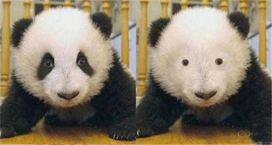 去黑眼圈最有效的方法，超好用的去黑眼圈眼霜排行榜