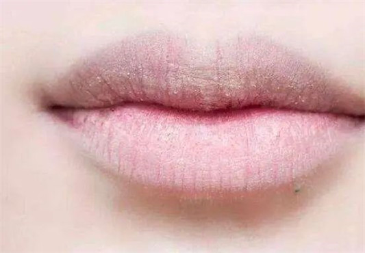 李佳琦一年要试色「上千支口红」，为什么嘴巴还那么Q弹  口红 嘴巴 第8张