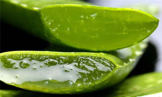 芦荟对皮肤和头发的8大好处  芦荟 芦荟胶 第2张