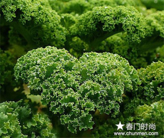 什么食物美容又养肤，多吃这些食物让你皮肤水嫩无暇  美容护肤 第3张