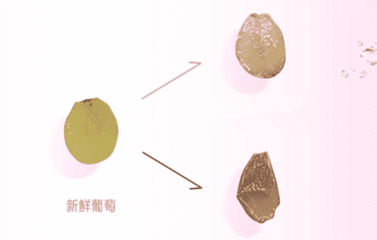 欧莱雅葡萄籽膜力水的质地是什么，欧莱雅葡萄籽膜力水测评  欧莱雅 爽肤水 第4张