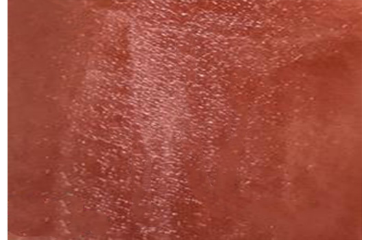 欧莱雅口红619试色，绝美秋叶色  试色 欧莱雅 口红 第2张