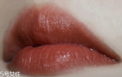 欧莱雅金管口红839是什么颜色，欧莱雅金管口红839试色  欧莱雅 欧莱雅金管口红839是什么颜色 欧莱雅金管口红839试色 呼吸37度 第8张