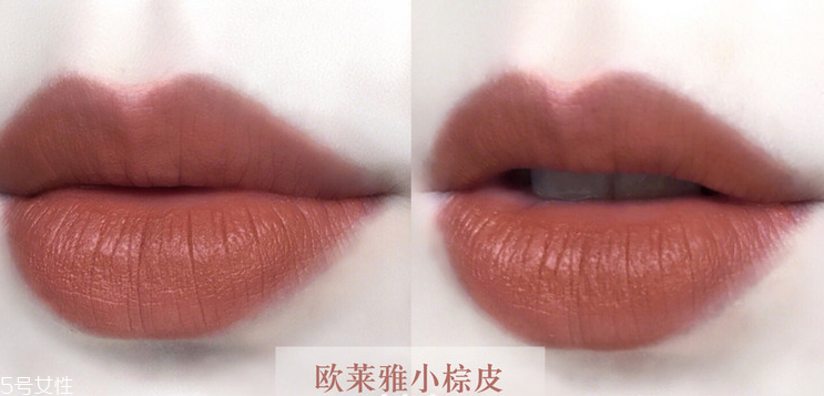 欧莱雅小棕皮291是什么颜色，不挑皮的浓郁焦糖色  欧莱雅 欧莱雅口红 欧莱雅小棕皮291 呼吸37度 第4张
