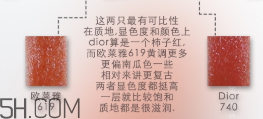 欧莱雅619和迪奥740像吗，欧莱雅619秋叶和迪奥740对比  欧莱雅 欧莱雅619秋叶 欧莱雅619和迪奥740 呼吸37度 第2张