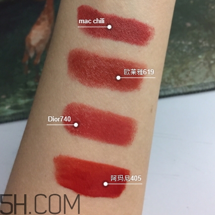 欧莱雅619秋叶和阿玛尼405试色对比  欧莱雅 欧莱雅619和阿玛尼405 呼吸37度 第4张