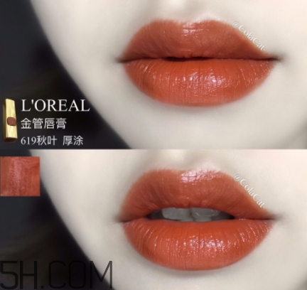 欧莱雅619秋叶试色，欧莱雅金管619好看吗，  欧莱雅 欧莱雅619口红 欧莱雅619秋叶试色 呼吸37度 第4张