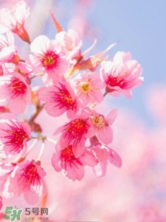 欧莱雅美女与野兽指甲油多少钱，欧莱雅美女与野兽指甲油试色  欧莱雅 欧莱雅美女与野兽指甲油 呼吸37度 第19张