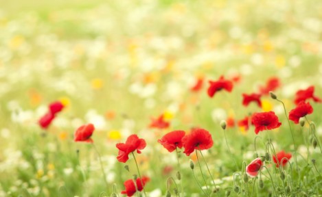 祛斑三大误区，有斑的朋友一定要看