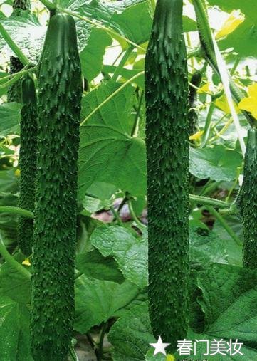 天然护肤方法合集，来一次最天然的护肤