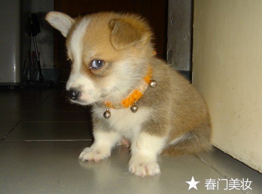 护肤常见性错误，你中了几个