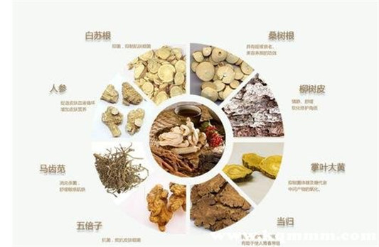 中药面膜10种配方