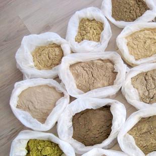 中药面膜10种配方  白芷 第3张