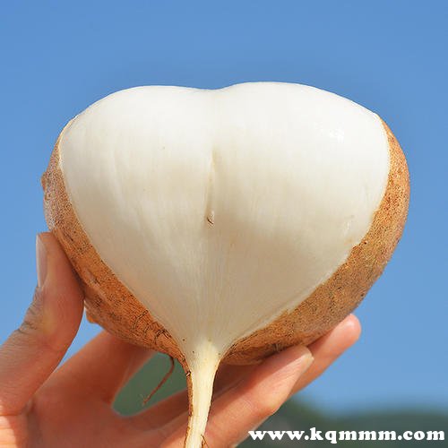 自制祛痘面膜，自制祛痘印面膜  面膜 第3张