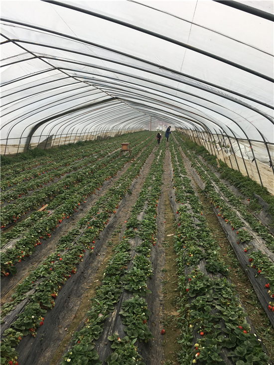 宣致蜗牛原液精华液用了一个月的真实感受  精华液护肤 第2张